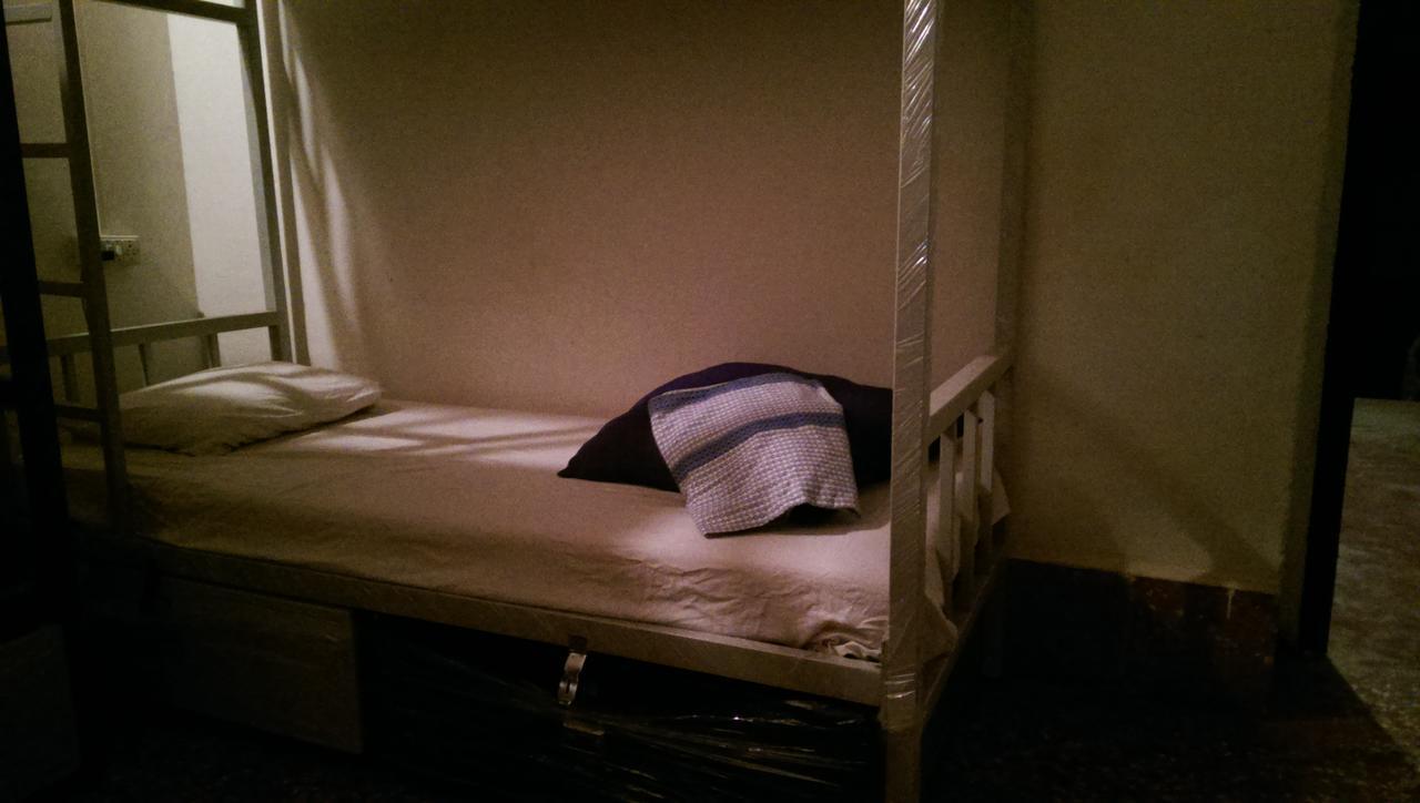 Hostel Lazy Llama *