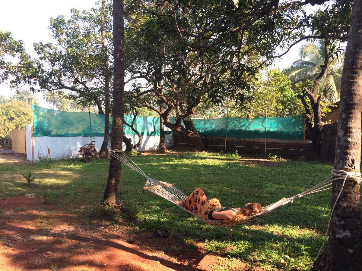Lazy Llama * Anjuna