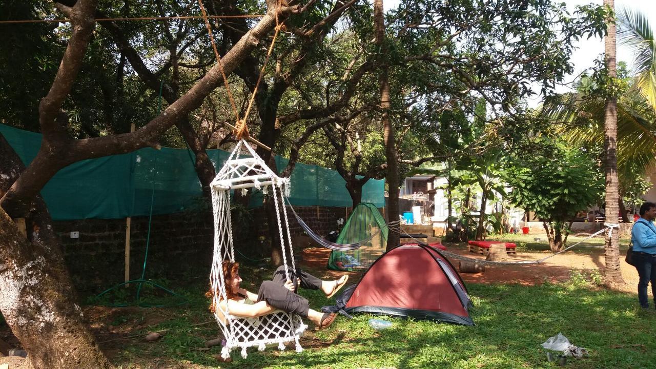 Lazy Llama * Anjuna