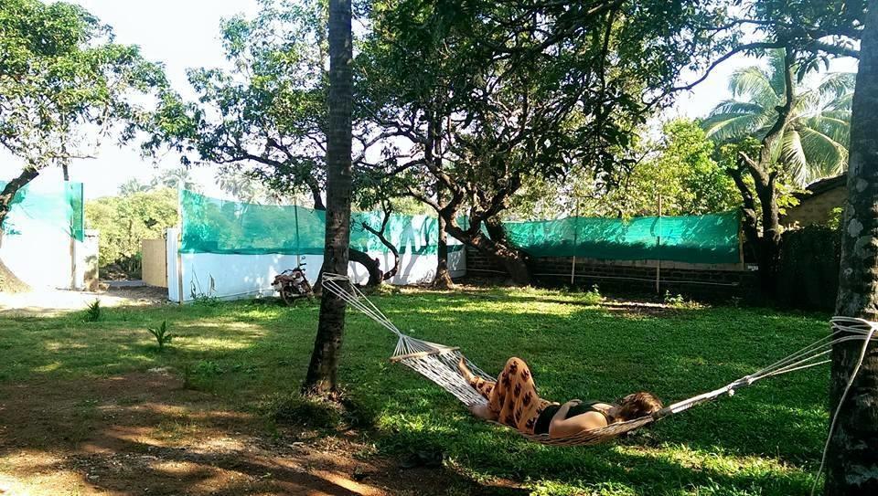 Lazy Llama * Anjuna
