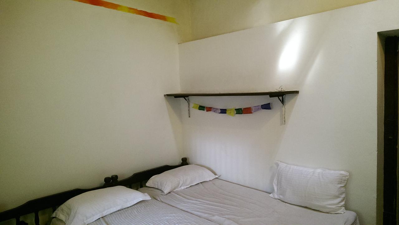 Hostel Lazy Llama *