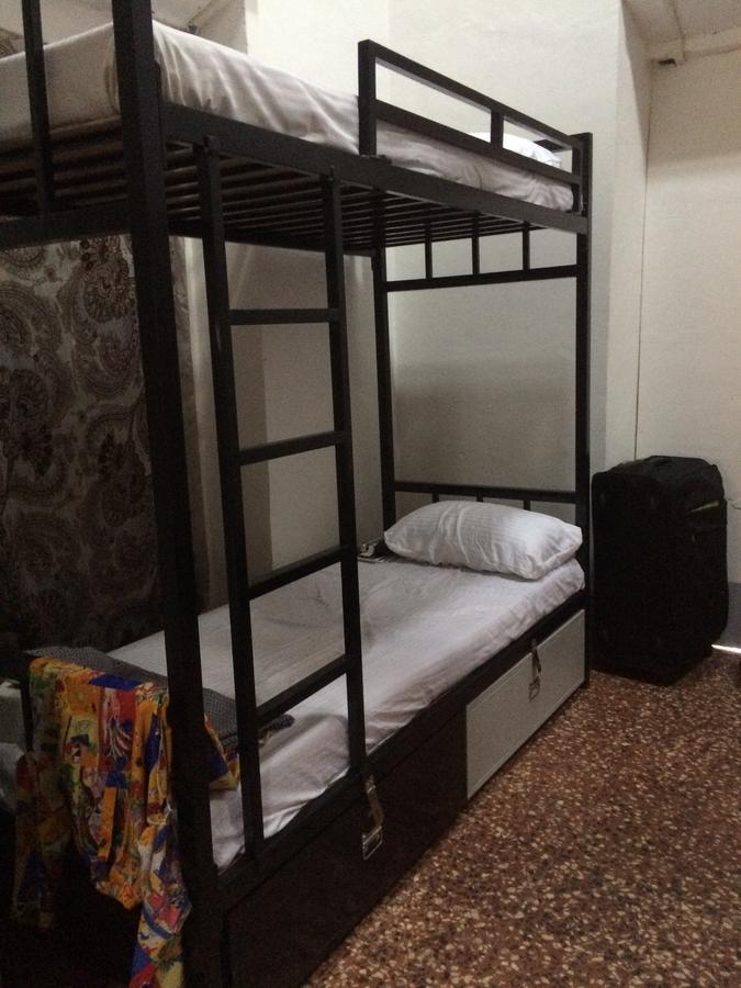 Hostel Lazy Llama *
